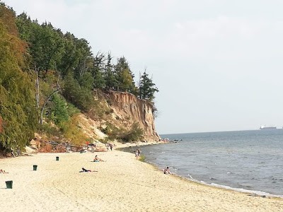 Photo de la réserve naturelle de Kępa Redłowska