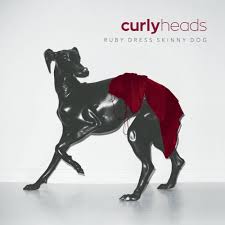 Album "Ruby Dress Skinny Dog" du groupe Curly Hair dont Dawid Podsiadło fait partie